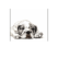 quotdog-tiredquot