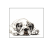 quotdog-tiredquot